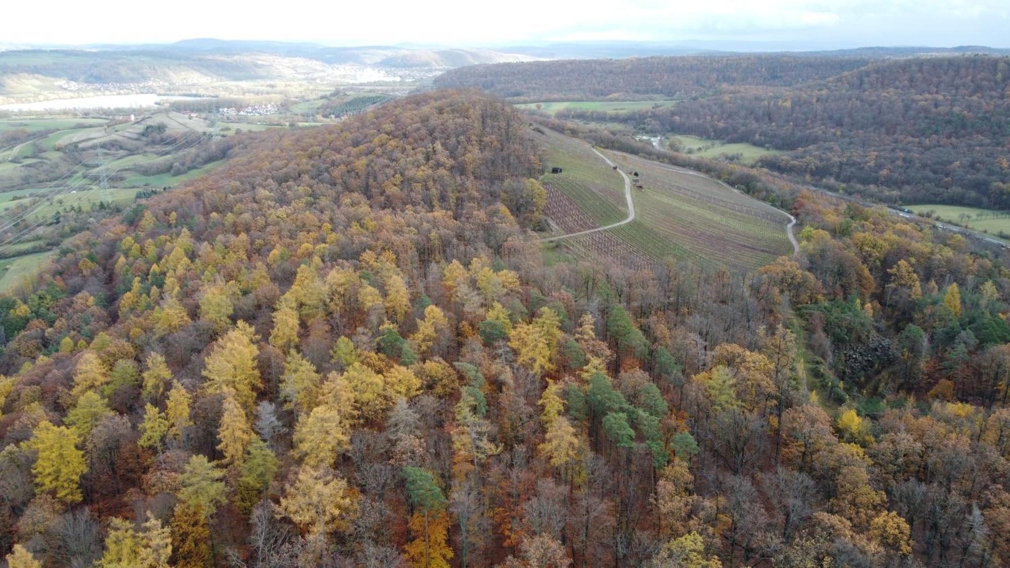 Pausenhof Zweite-Heimat Rauhenebrach Exterior foto